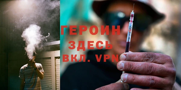 гидра Покачи