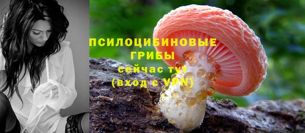 ECSTASY Володарск